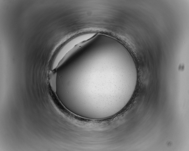 X0000099490016200805291116