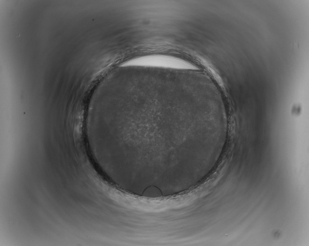 X0000099490018200805291116