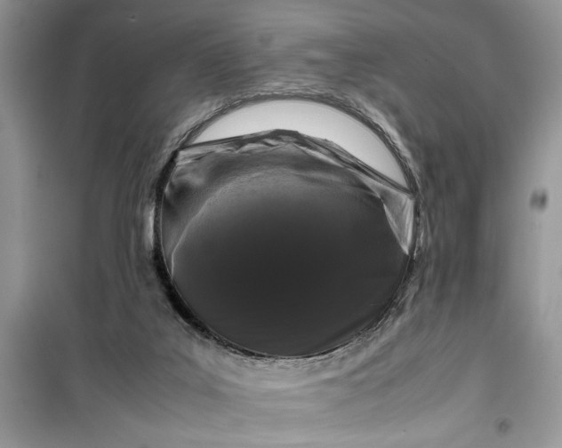 X0000099490019200805291116