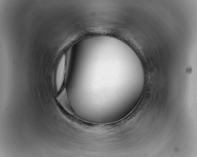 X0000099490020200805291116