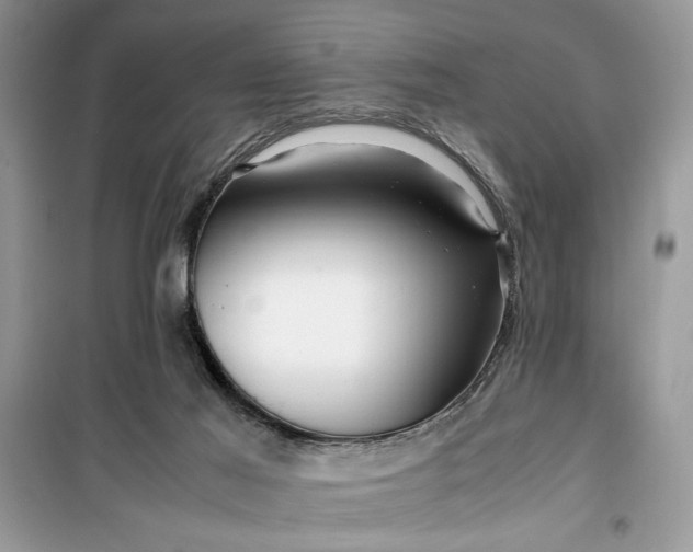 X0000099490021200805291116