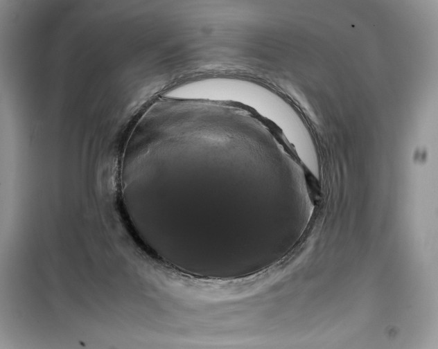 X0000099490023200805291116