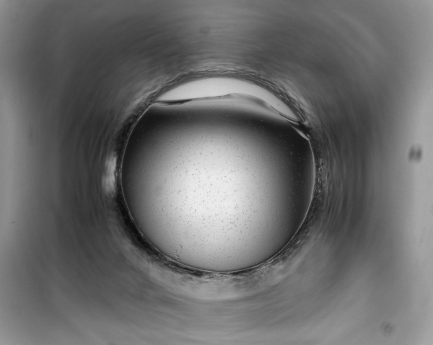 X0000099490024200805291116