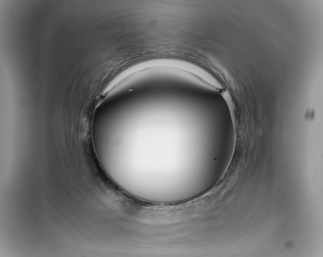 X0000099490025200805291116