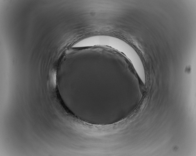 X0000099490027200805291116