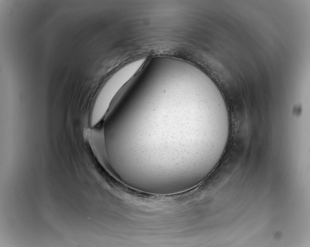 X0000099490028200805291116