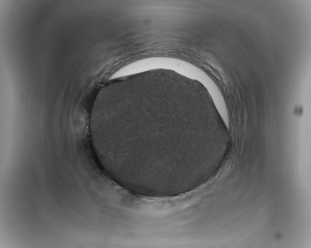 X0000099490029200805291116