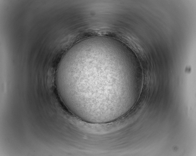 X0000099490030200805291116