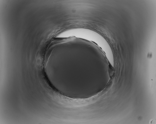 X0000099490031200805291116