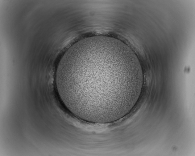 X0000099490032200805291116