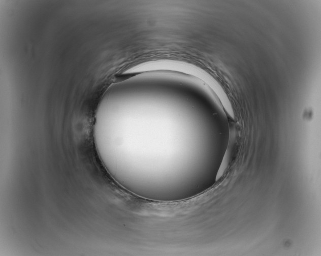 X0000099490033200805291116