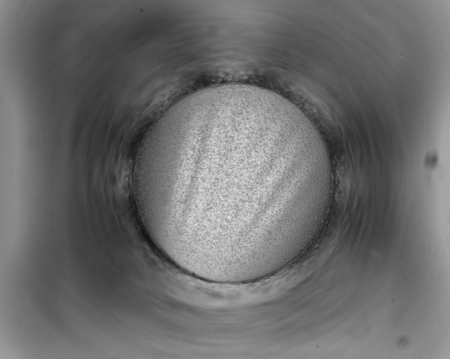 X0000099490034200805291116