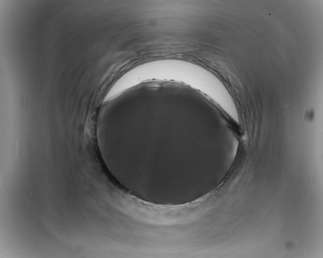 X0000099490035200805291116