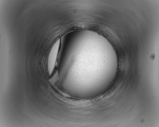 X0000099490036200805291116