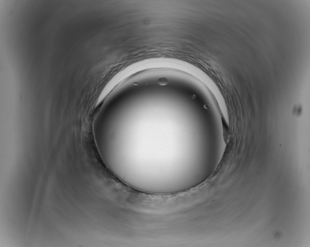 X0000099490037200805291116