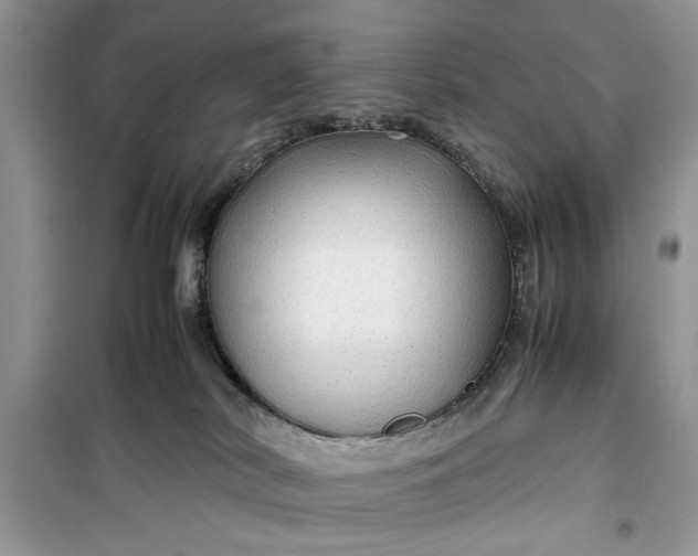 X0000099490038200805291116