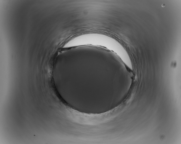 X0000099490039200805291116