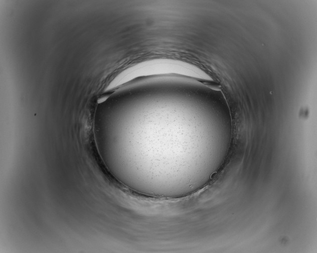 X0000099490040200805291116