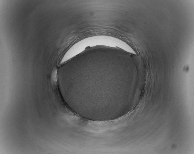 X0000099490041200805291116