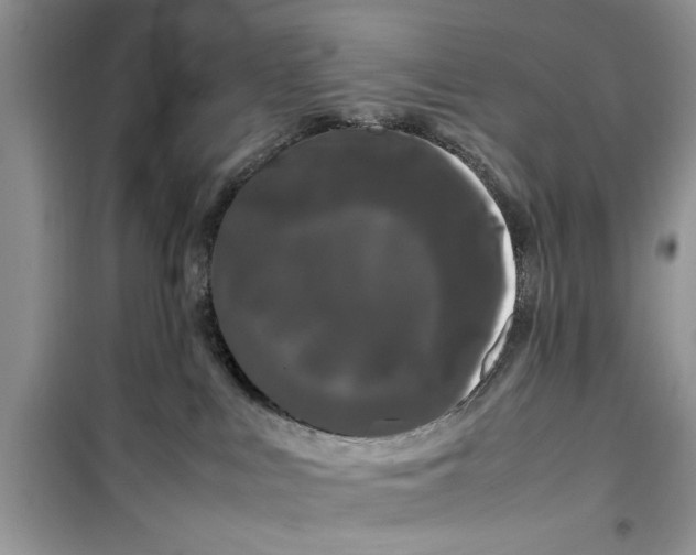 X0000099490043200805291116