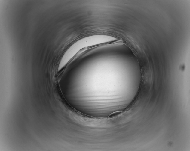 X0000099490044200805291116