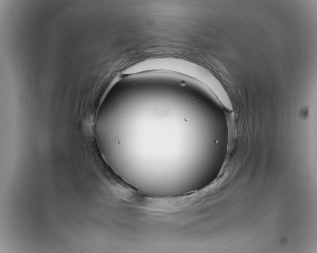 X0000099490045200805291116