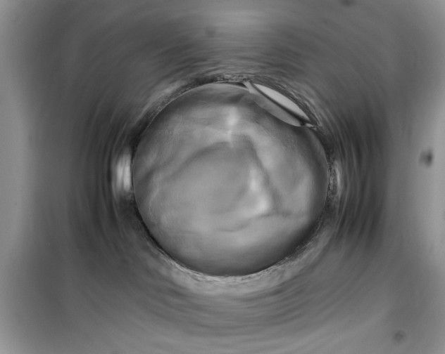 X0000099490046200805291116