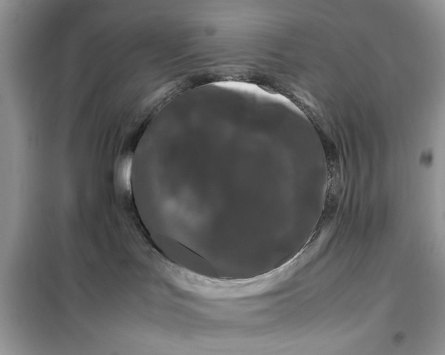 X0000099490047200805291116