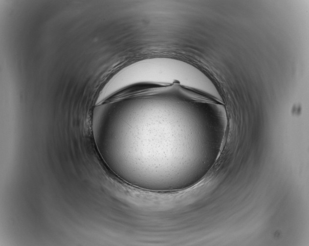 X0000099490048200805291116