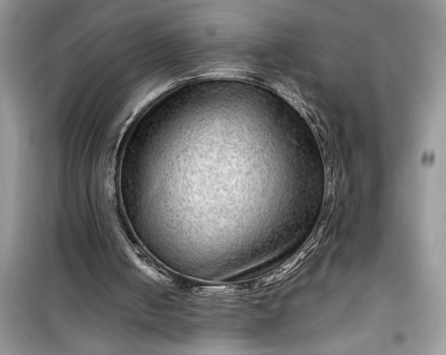 X0000099490050200805291115