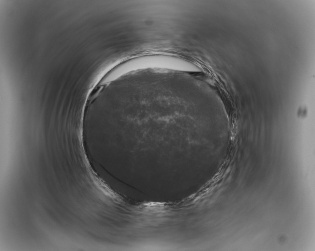 X0000099490052200805291115