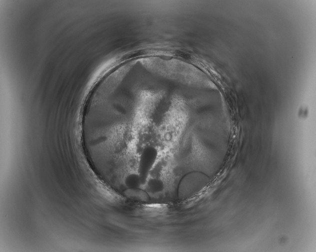 X0000099490053200805291115