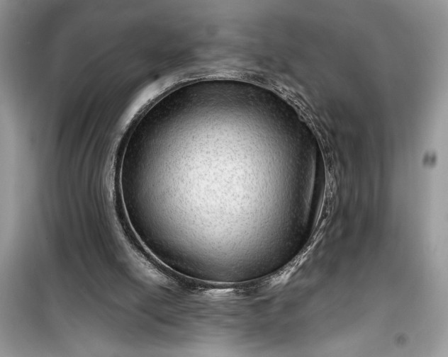 X0000099490054200805291115