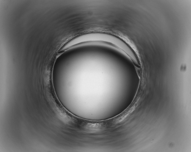 X0000099490057200805291115