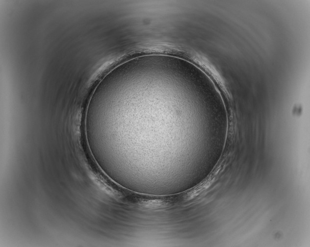 X0000099490058200805291115