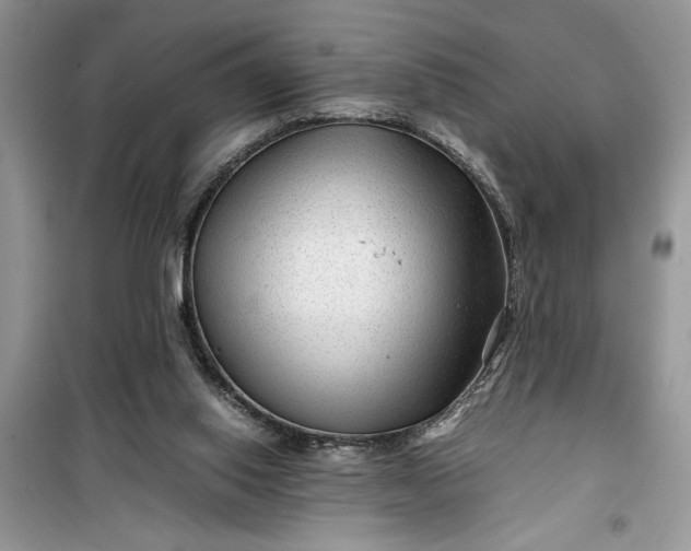 X0000099490062200805291115