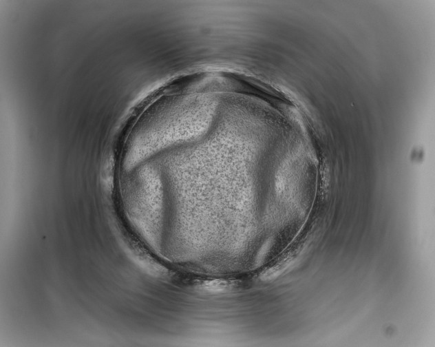 X0000099490064200805291115