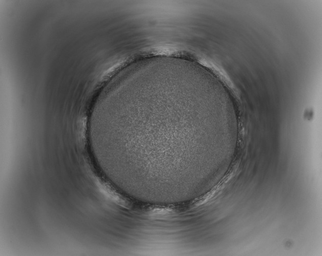 X0000099490066200805291115