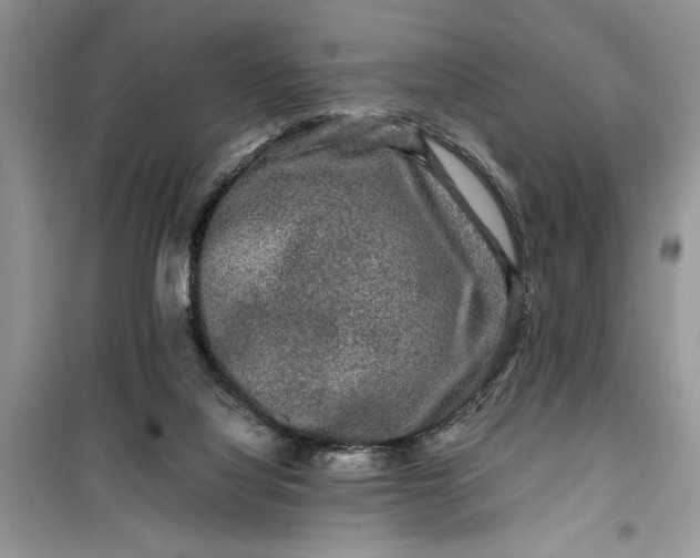 X0000099490068200805291115