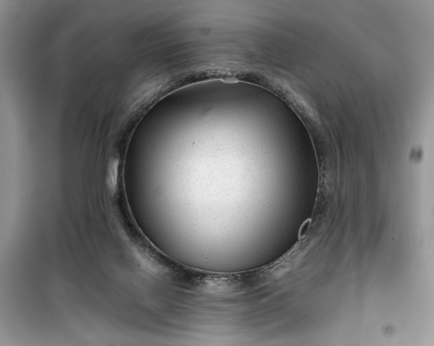 X0000099490070200805291115