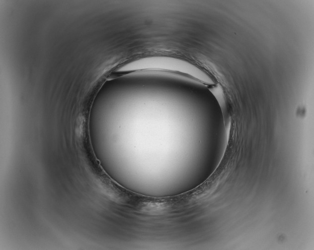 X0000099490071200805291115