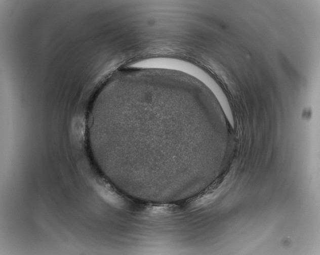 X0000099490072200805291115