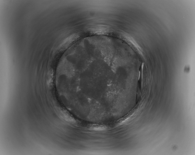 X0000099490073200805291115