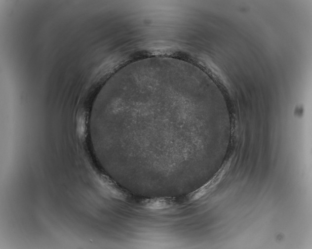 X0000099490074200805291115