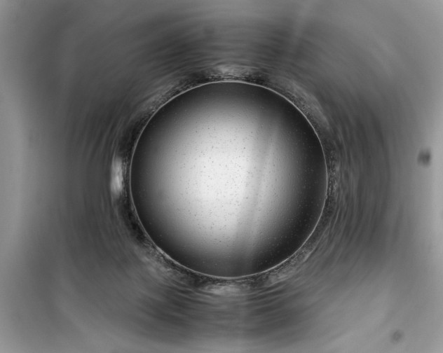 X0000099490075200805291115