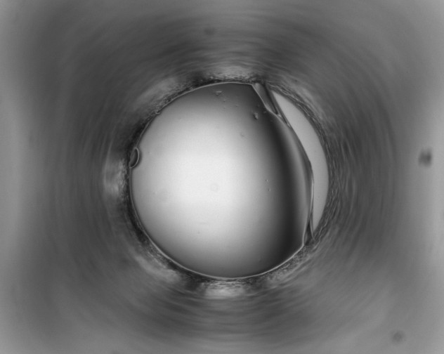 X0000099490077200805291115