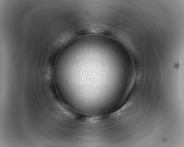 X0000099490078200805291115