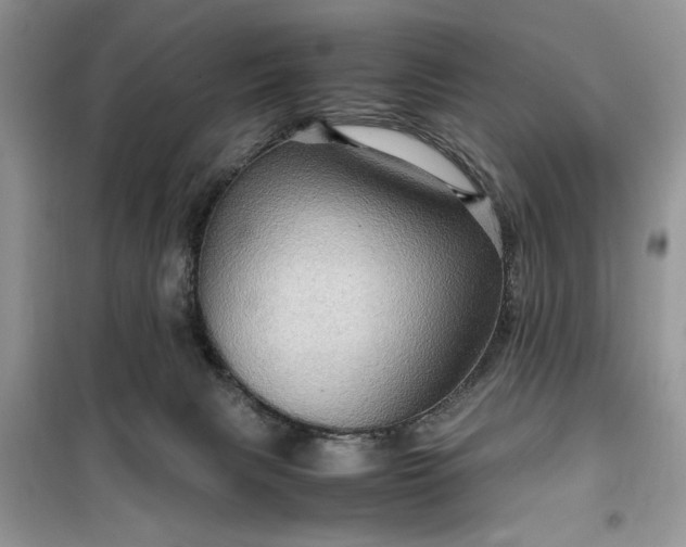 X0000099490079200805291115