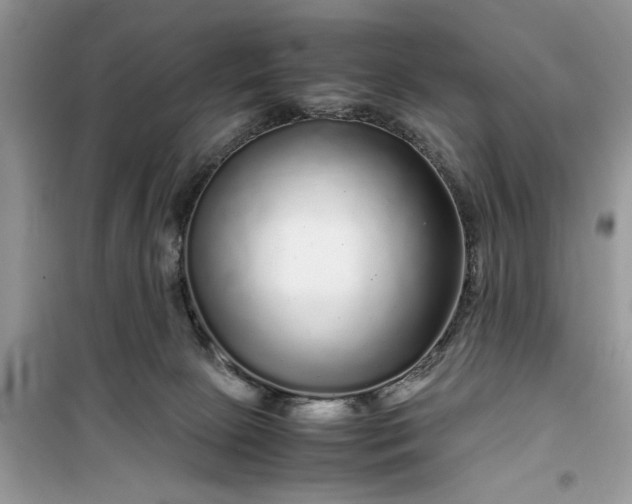 X0000099490081200805291115