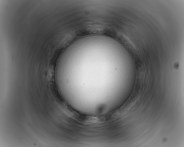 X0000099490083200805291115